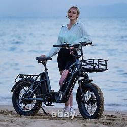 Electric Bike 750W 48V 20.8AH Color Display 4.0 Fat Tire Ebike for Adults Sonw