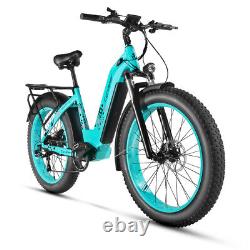 Electric Bike Adult 48V 17Ah 26 Fat Tire E-Bike Beach Mountain Electric Bicycle