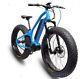 Very Fat Tire 1000w Fork Hydraulic Suspension Middle Drive Motor Mountain Bike